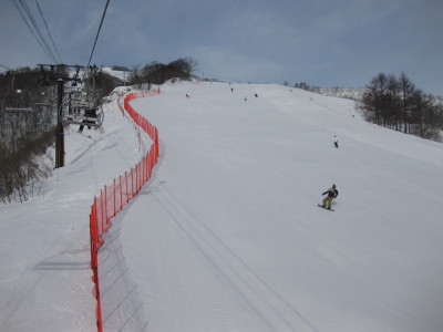 IMG_4528.jpg