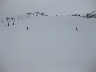 IMG_4541.jpg