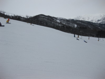 IMG_4542.jpg