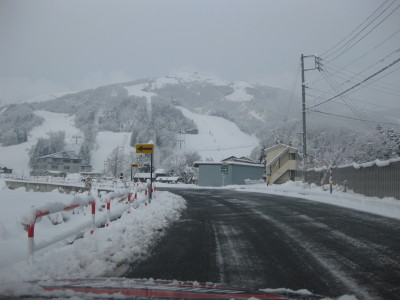 IMG_4545.jpg