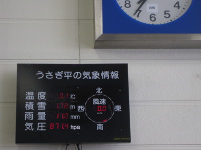 IMG_4546.jpg