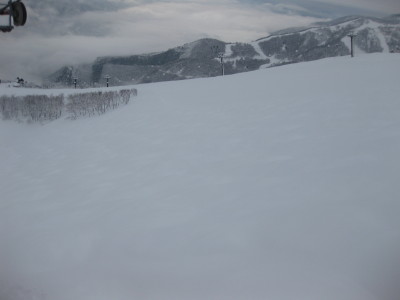 IMG_4552.jpg
