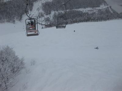 IMG_4575.jpg