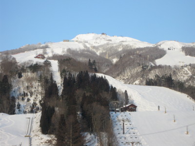 IMG_4586.jpg