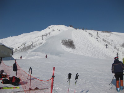 IMG_4594.jpg