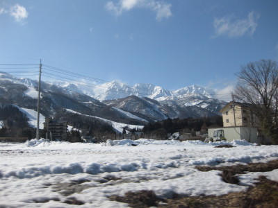 IMG_4675.jpg