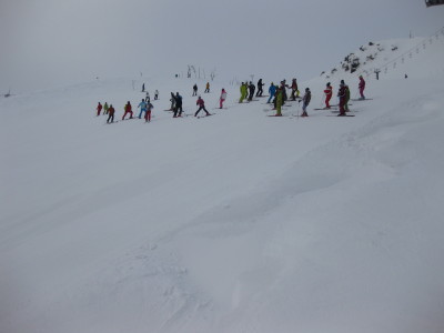 IMG_4699.jpg