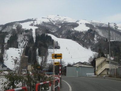 IMG_4726.jpg