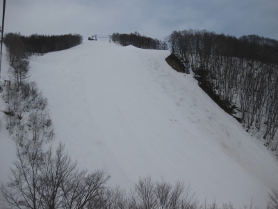 IMG_4731.jpg