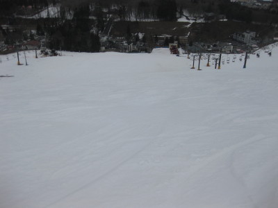 IMG_4784.jpg