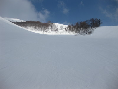 IMG_4829.jpg