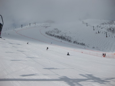 IMG_4834.jpg