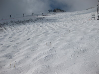 IMG_4839.jpg