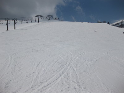 IMG_4848.jpg