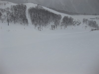 IMG_4886.jpg