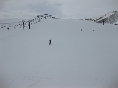 IMG_5036.jpg
