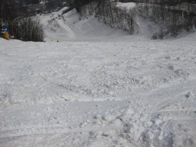 IMG_5301.jpg