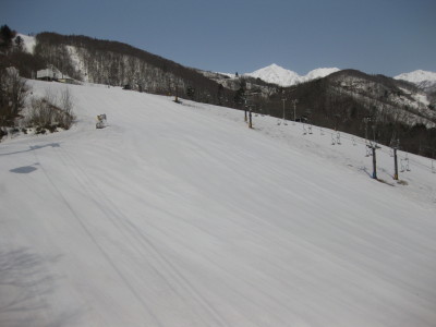 IMG_5312.jpg