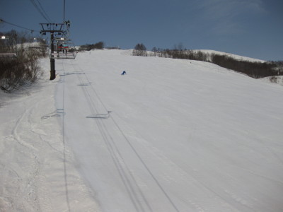 IMG_5333.jpg