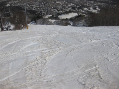 IMG_5374.jpg