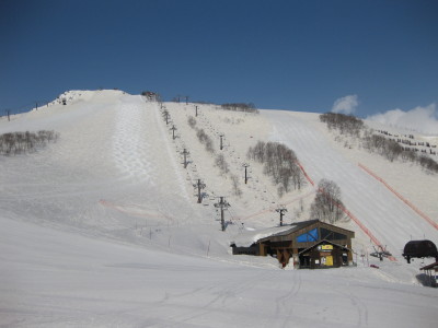 IMG_5383_1.jpg