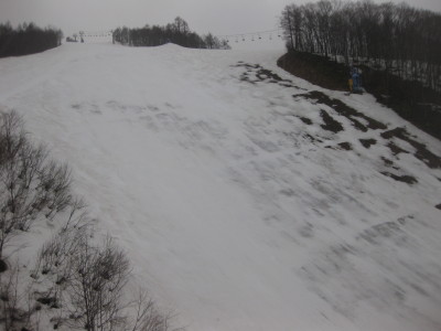IMG_5447.jpg