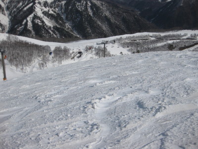IMG_5552.jpg