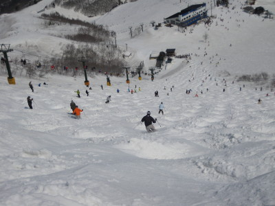 IMG_5613.jpg