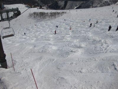 IMG_5619.jpg