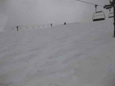 IMG_5658.jpg