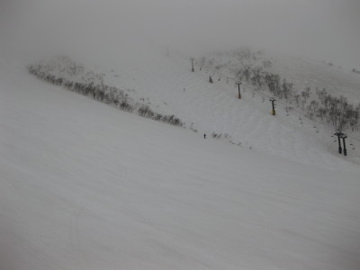 IMG_5679.jpg