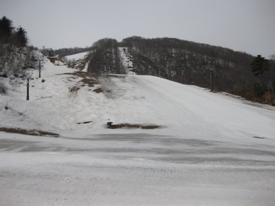 IMG_5693.jpg