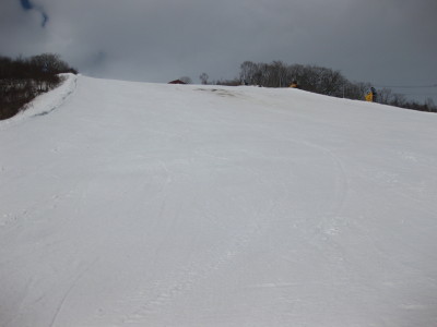 IMG_5731.jpg