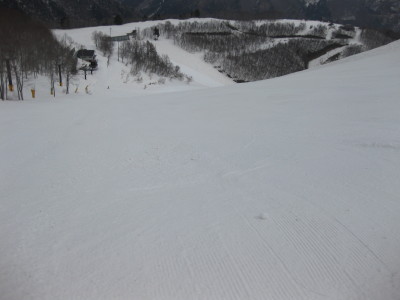IMG_5740.jpg