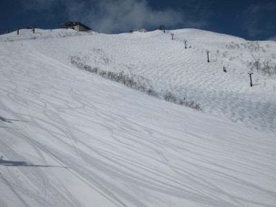 IMG_6253.jpg