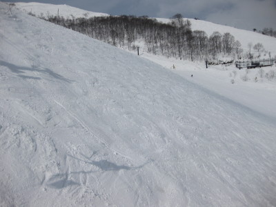 IMG_6329.jpg