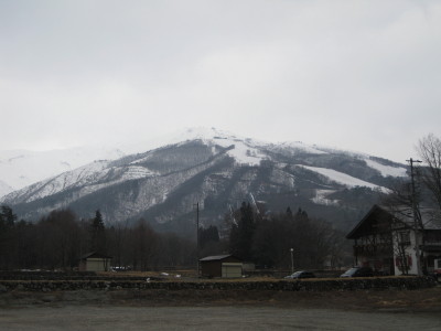 IMG_6345.jpg