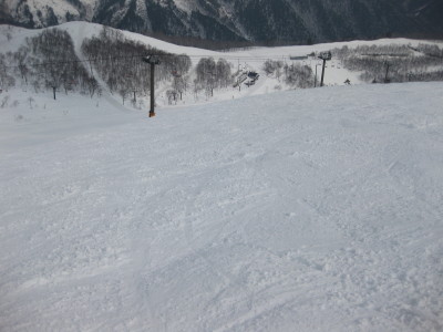 IMG_6377.jpg