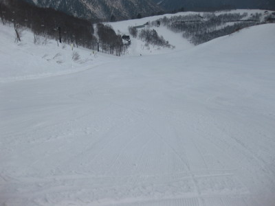 IMG_6384.jpg