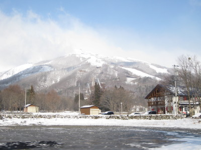 IMG_6397.jpg