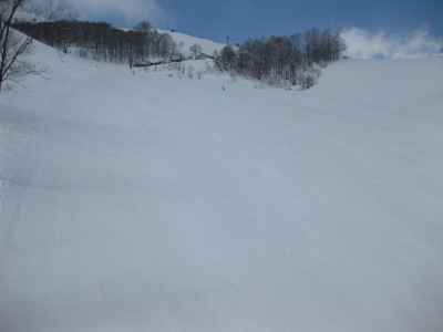 IMG_6438.jpg