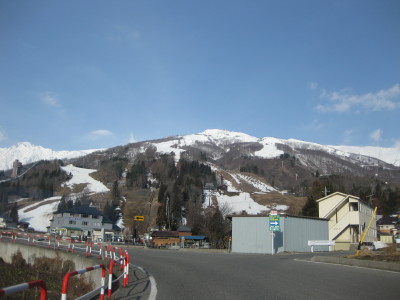 IMG_6467.jpg
