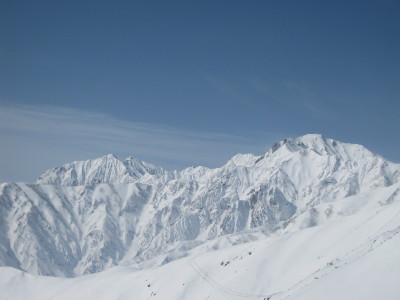 IMG_6501.jpg