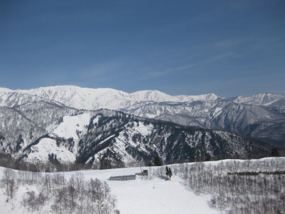 IMG_6523_1.jpg