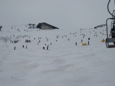 IMG_6603.jpg