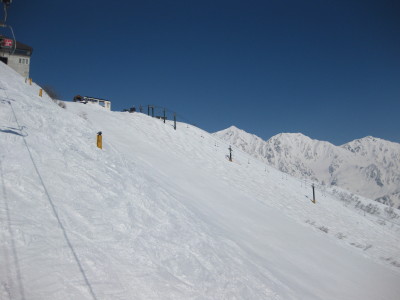 IMG_6698.jpg