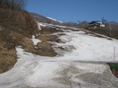 IMG_6705.jpg