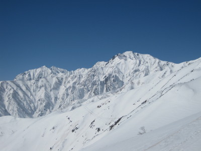 IMG_6716.jpg