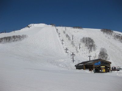 IMG_6774.jpg