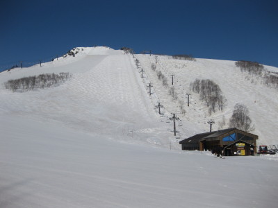 IMG_6790.jpg